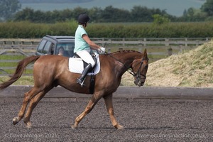 ISIS Dressage Challenge 2008